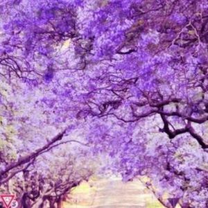 Meet your Posher, Nena